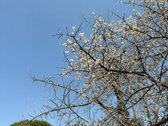 -上海影视乐园