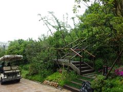 -杭州开元森泊度假乐园