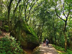 -普陀山风景名胜区-法雨禅寺