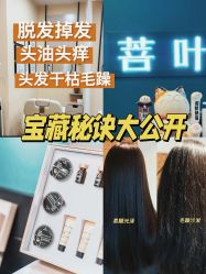 -菩叶脱发白发中心