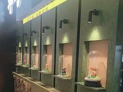 -季季山•云南野生菌火锅(上海首店)