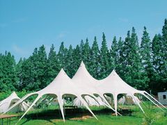 -前小桔亲子创意农场·草莓采摘·露营烧烤