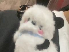 -关你鬼室大型密室逃脱(佛山创意园店)