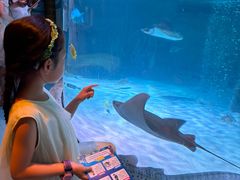 -沈阳海洋探索中心