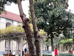 -南京中国近代史遗址博物馆(南京总统府)