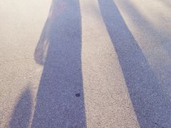 -汪记鲜鱼糊汤粉(沈阳路总店)