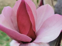 -恩卓国际幼儿园(兆丰校区)