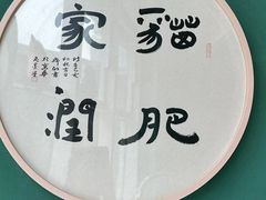 -飞行喵MR PILOT|猫舍·猫咖(静安大融城店)