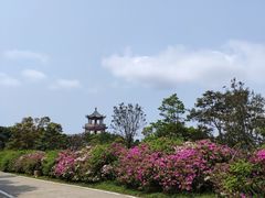 -梧桐山风景名胜区