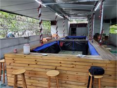 -小象钓虾·营地烧烤(洛溪店)