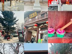 -西安青龙寺遗址景区