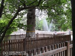 -北京鹫峰国家森林公园