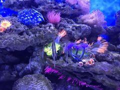 -成都浩海立方海洋公园