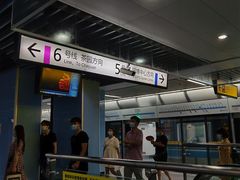 -大龙山(地铁站)