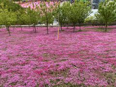 -古柏渡飞黄旅游区