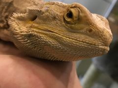 -藦茜花园宠物主题亲子互动体验馆(国顺东路店)