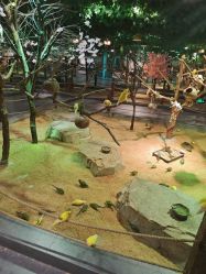 -酷嗒动物文化乐园(cutezoo西溪乐天城店)