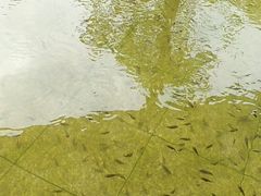 -咸宁万豪温泉谷度假区