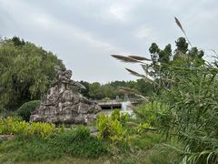 -三垟湿地
