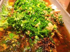 香辣炝锅鱼-树厨贵州菜(大十字店)