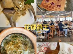 -百利鸽王(紫薇路店)