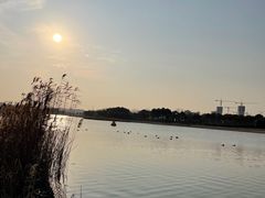 -春花秋色城市公园