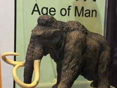 -房山世界地质公园博物馆