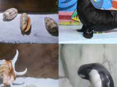 -南昌海洋公园