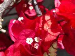 -璞真扎染博物馆