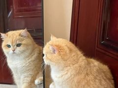 -猫岛主趣味餐厅(鼓浪屿店)