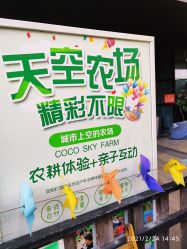 -可可天空农场(中大店)