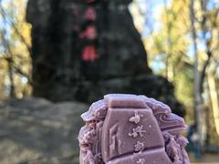 -汤旺河林海奇石景区