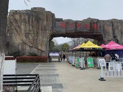 -合肥野生动物园