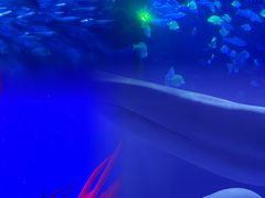 -多彩贵州城极地海洋世界