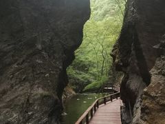 -牛背梁国家森林公园