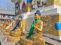 -护国法轮寺