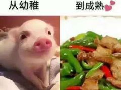 -光头卤(光谷创业街店)