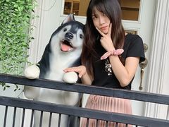 -TrueLove @ Neverland (Husky Cafe)