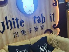 -白兔子密室(长寿路店)