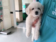 -安安宠医·安宠宠物医院