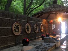 -天目湖御水温泉·度假酒店