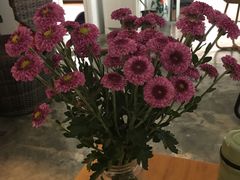 -遇见瑜伽WITH YOGA瑜伽普拉提生活馆