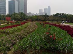 -万绿园