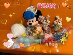 -上海迪士尼度假区