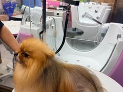 -FAELING PETS美天灵宠物(富力广场店)