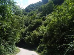 -青峰峡国家森林公园