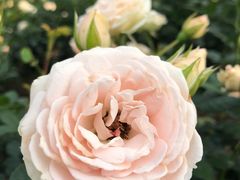 -人民公园(罗湖区)