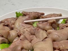 -丁老爷子苏香圆