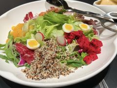 -秀儿四九城·新京菜(亚运村鸟巢店)