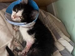 -百信宠物医院(东升街店)